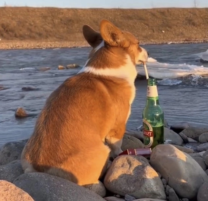 ���� ����� ����� ���� � �����