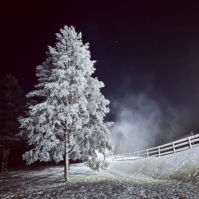 Морозная ночь (Эстония 26.12.2022)