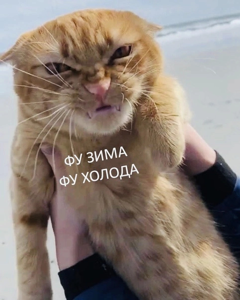 Фу погода... | Пикабу