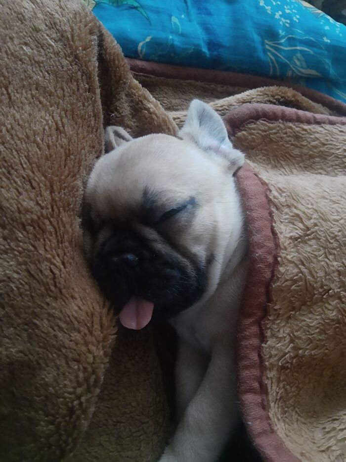 ������ � ����