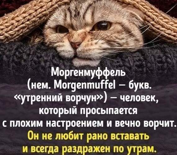 Ответ dunhill24 в «Дозировка». А как вы просыпаетесь?