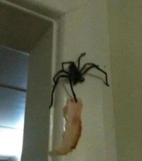 &quot;   ,       &quot;