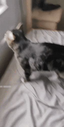      , , , 