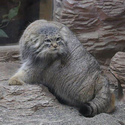 Когда сзади что-то ну очень интересное