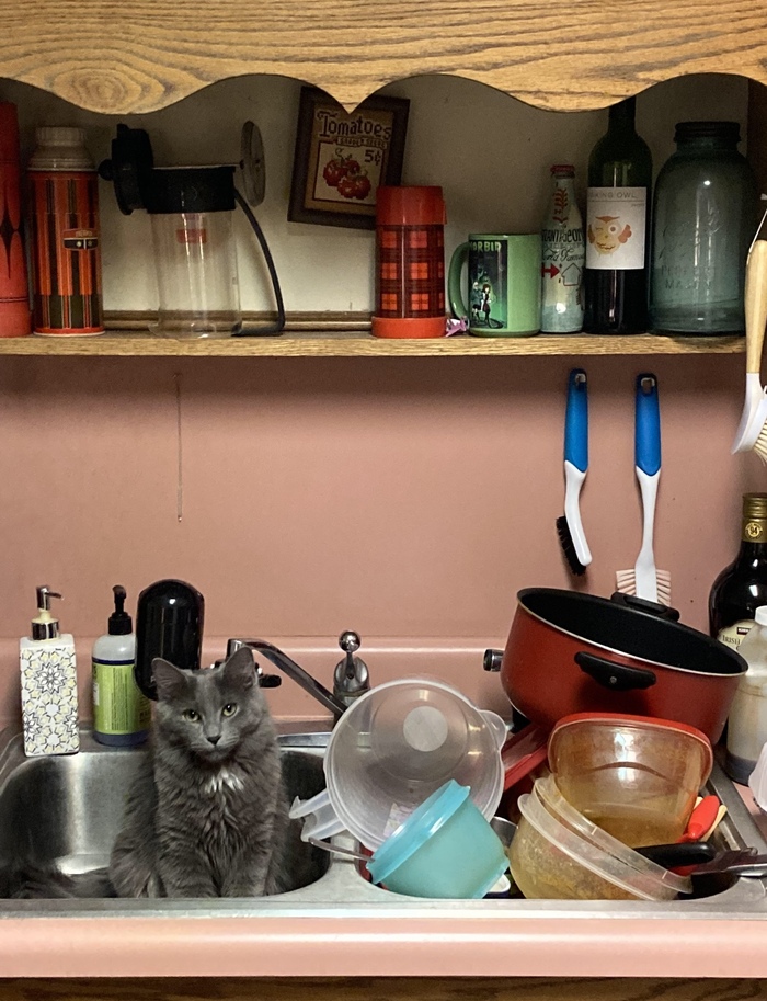 Пора помыть посуду