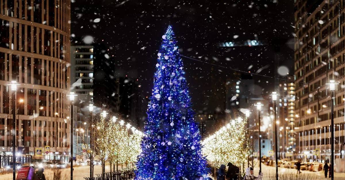 Новогодний город. Новогодняя елка. Елка улица. Новогодняя елка на улице. Новогодняя ель на улице.