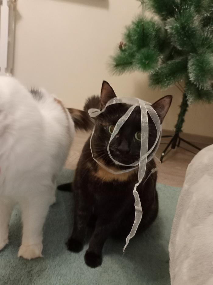 Пришло время убрать ёлку)))