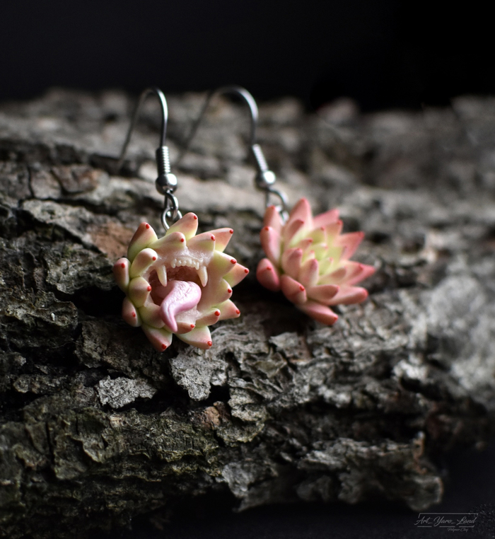 Хищные малыши-суккуленты в новом цвете