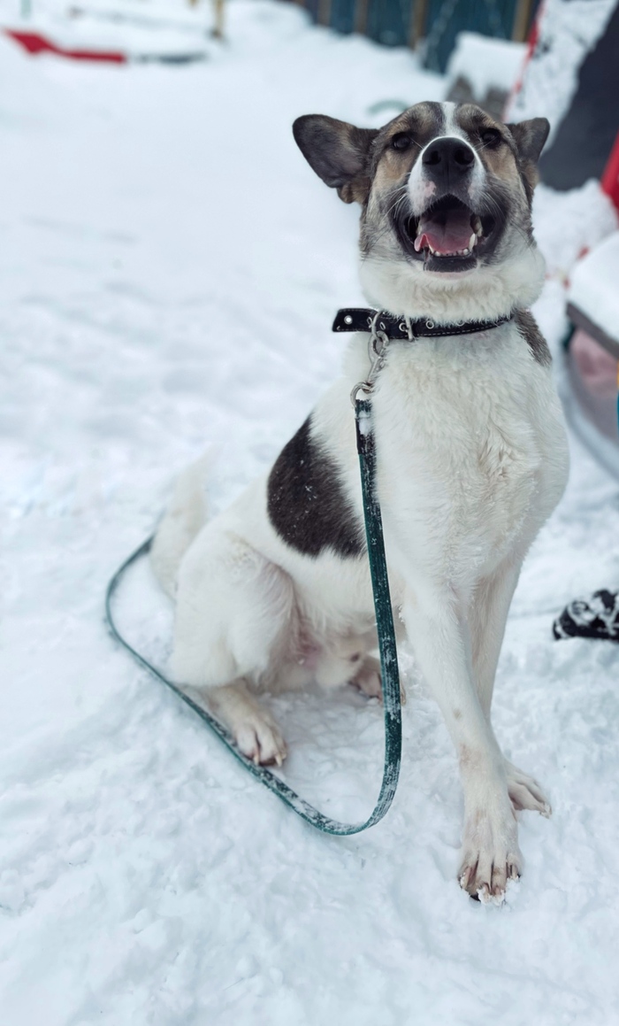 ��������� ����� ���� ����� �������