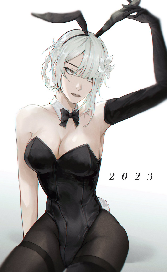  , , Nier replicant, Kaine, Bunnysuit