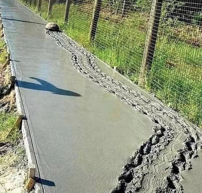   , , , 