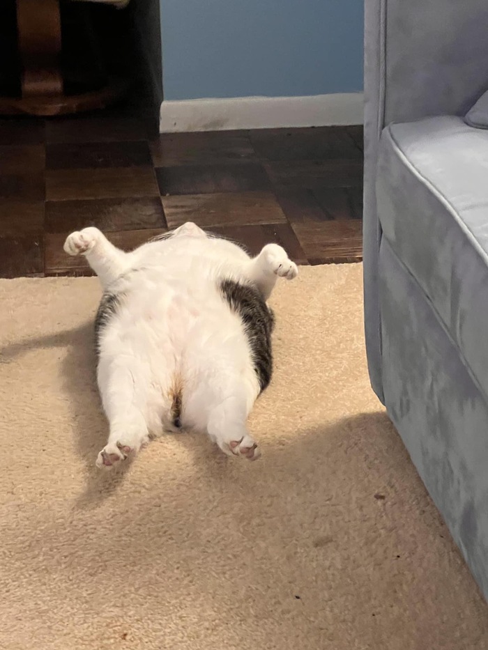  , 