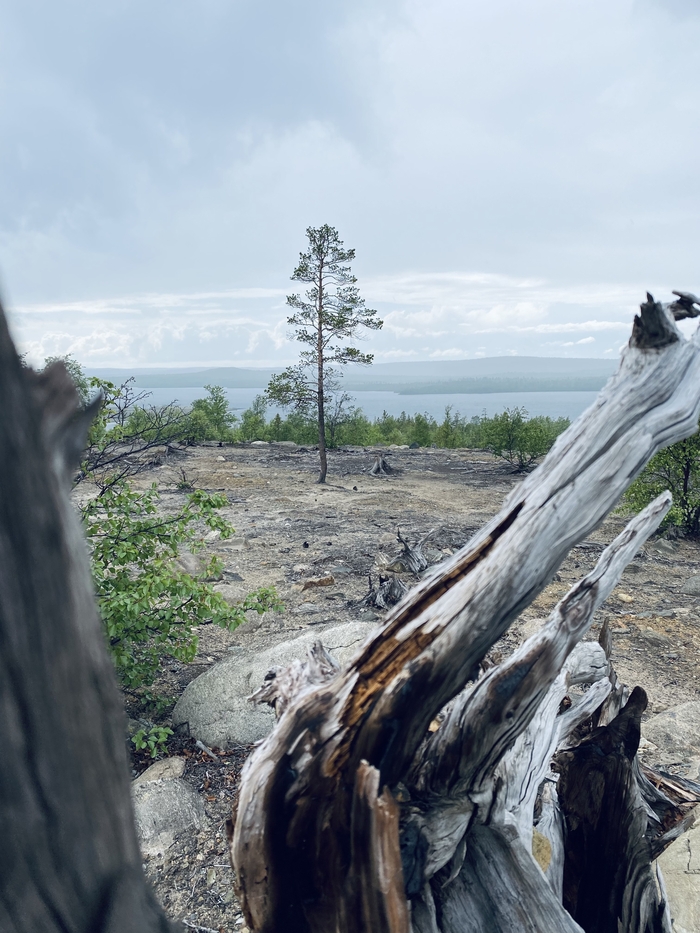 ���������� �������