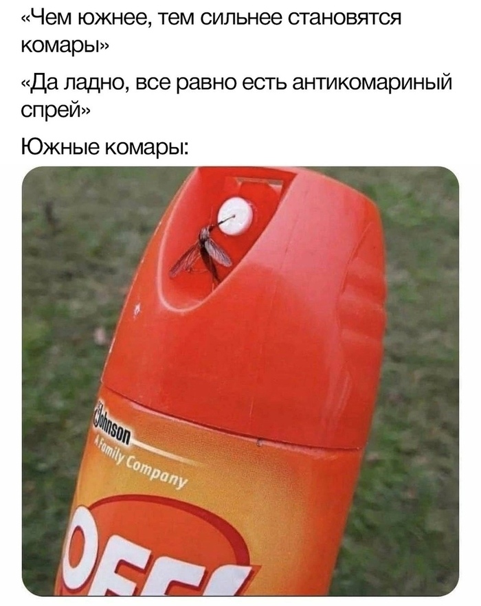  ,   , 