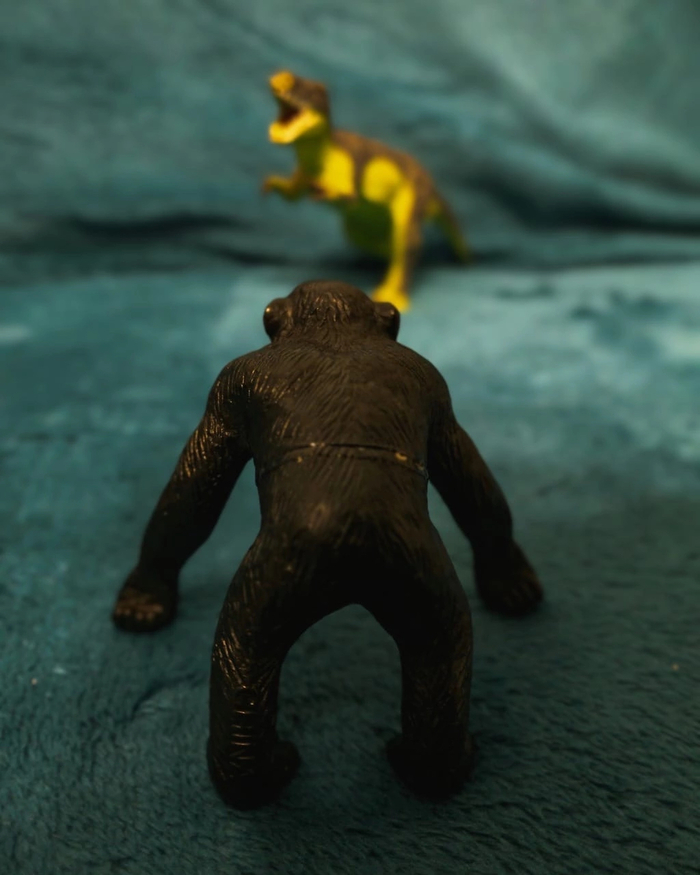 , , !  ?   ,     , , , 