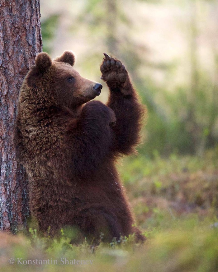 Туристы. Шли бы вы отсюда сами знаете куда