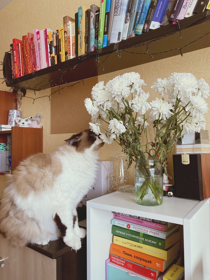 ���� ���?!�