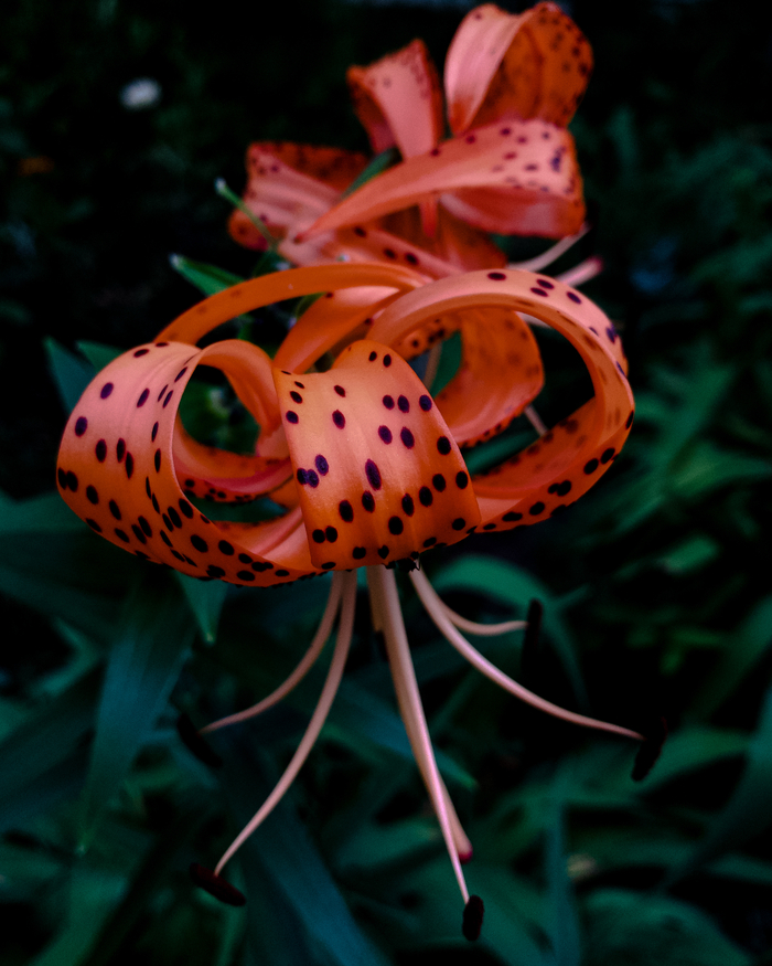   , ,  , , , 