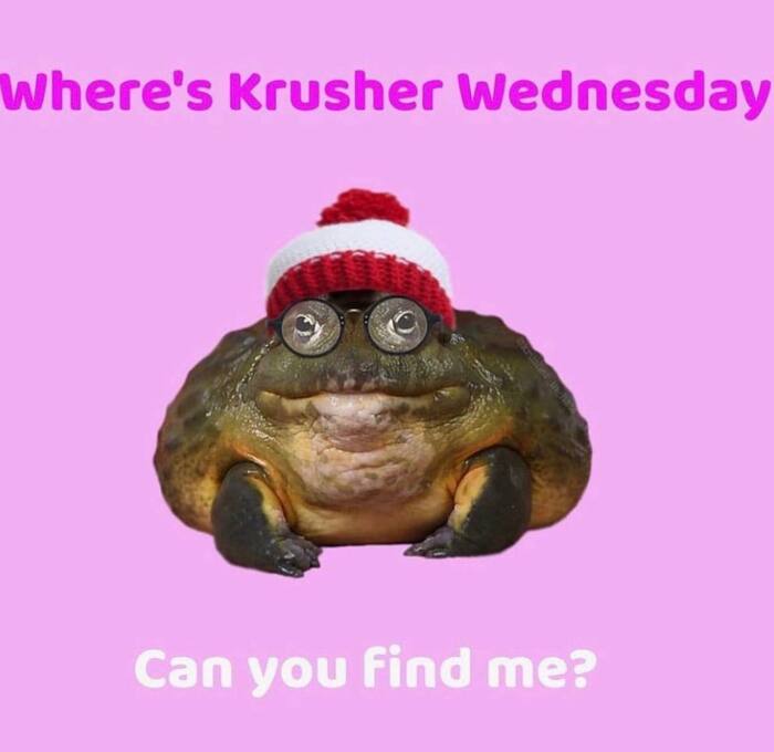     , , It Is Wednesday My Dudes, ,   , ,  ,  , 