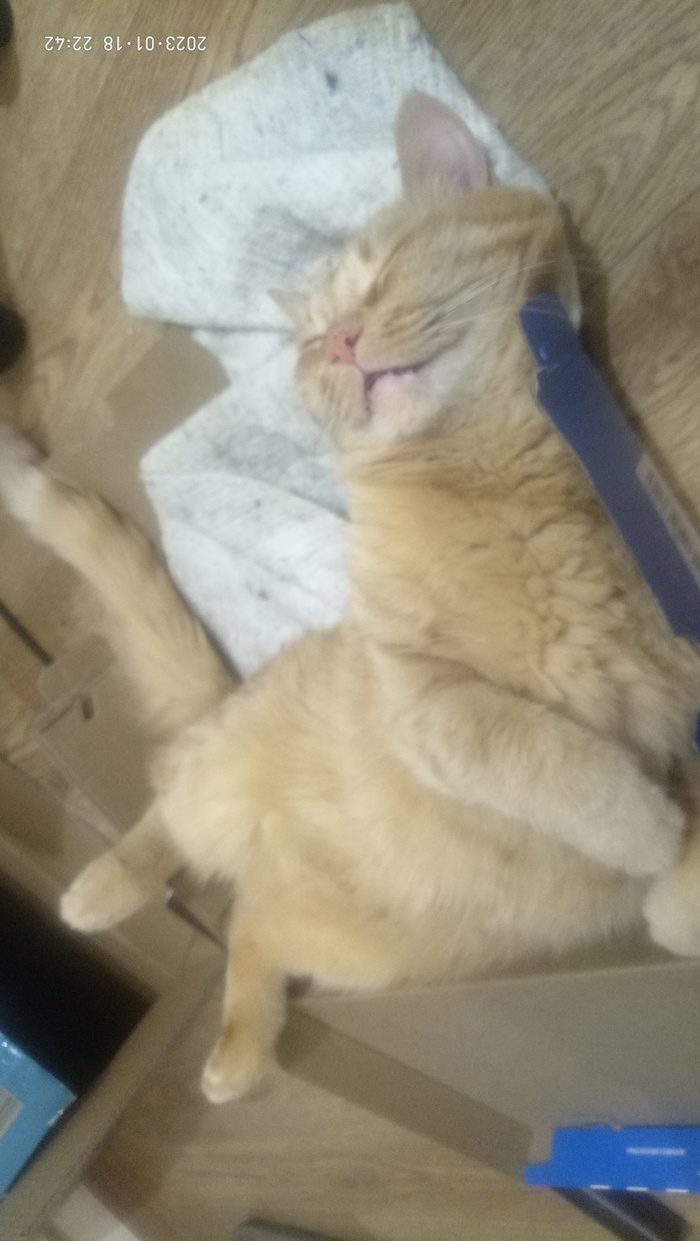   , , , ,  