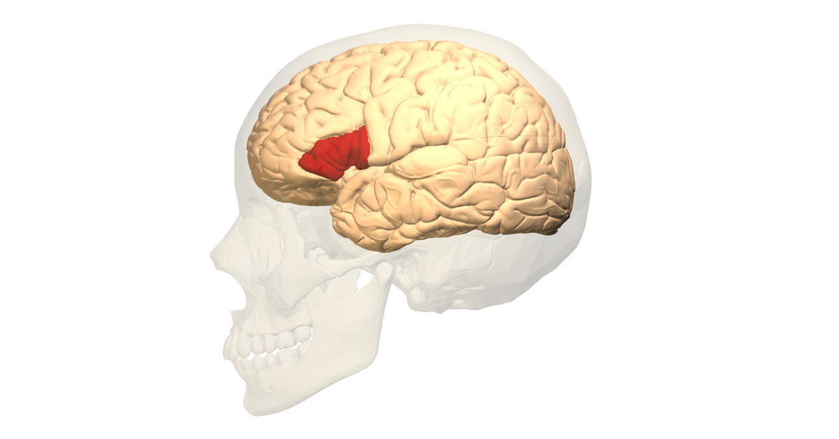 Поражения затылочной доли головного мозга. Повреждение коры затылочных долей. Симптомы поражения затылочной доли. Повреждение коры затылочных долей. Повреждение коры затылочных долей.