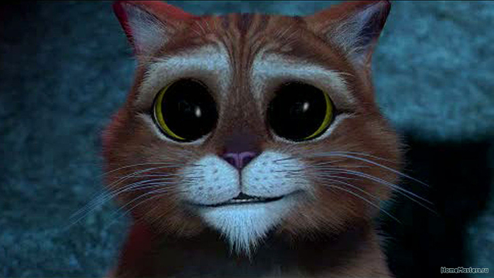 ��������������� �����. �������� ���������!