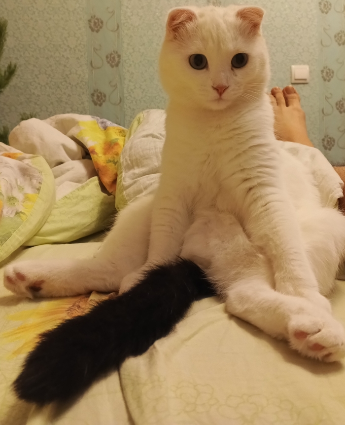 ,  ,  , 