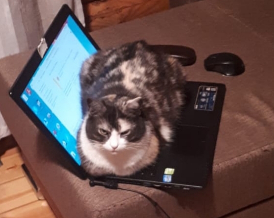 �� ������� ������ ���������