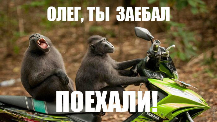 ����� �� ���� �"�������� �������� � ����))))!!!"�