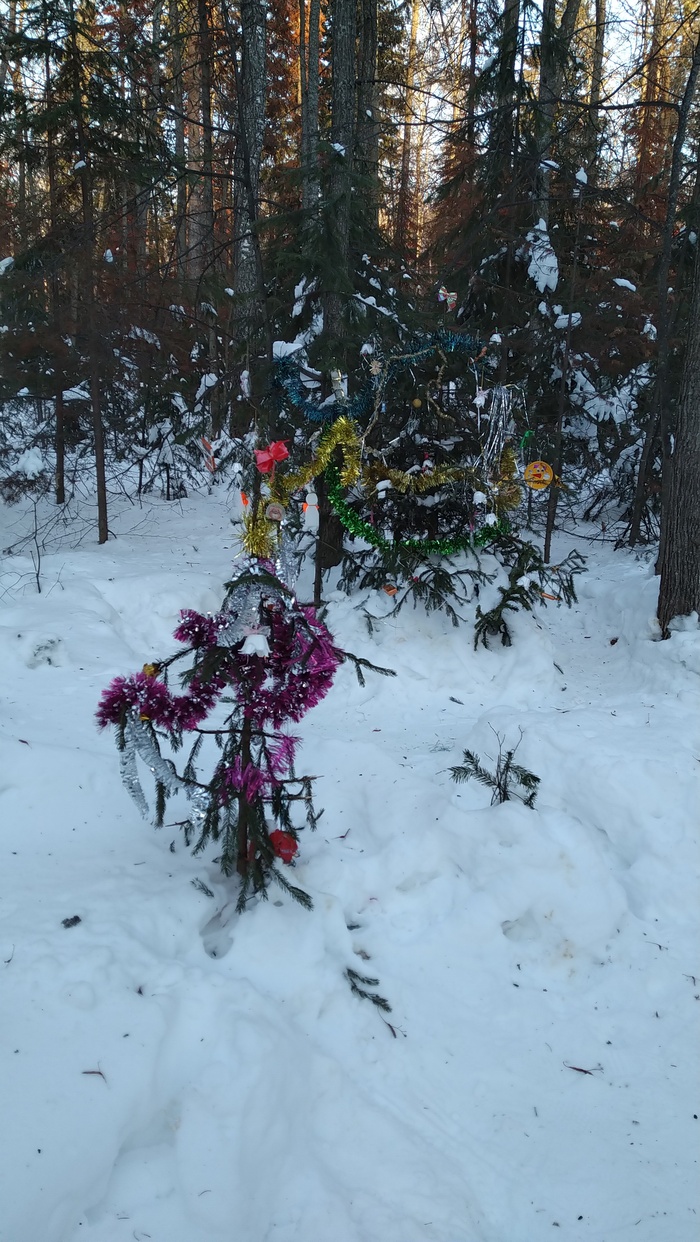 В лесу Новый Год круглый год!