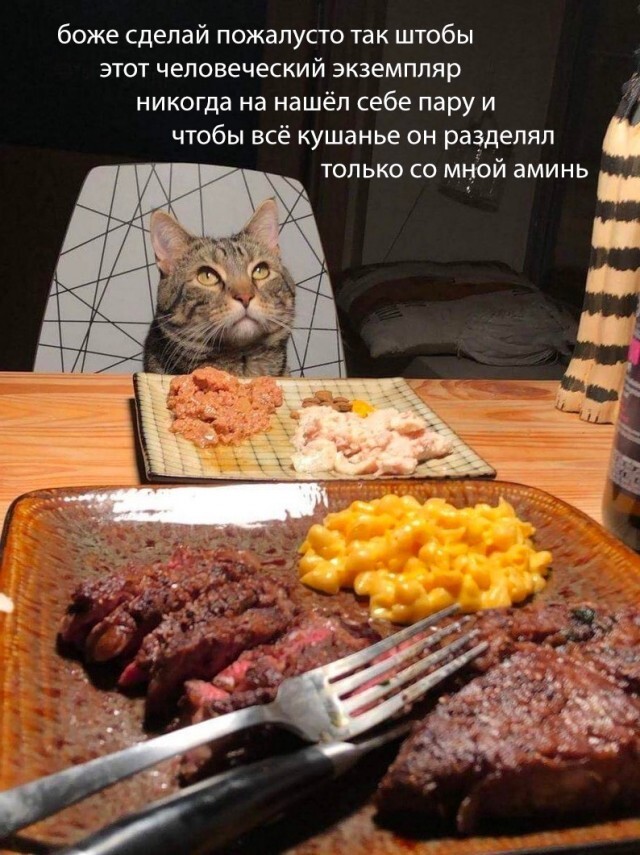    ! ,   , 