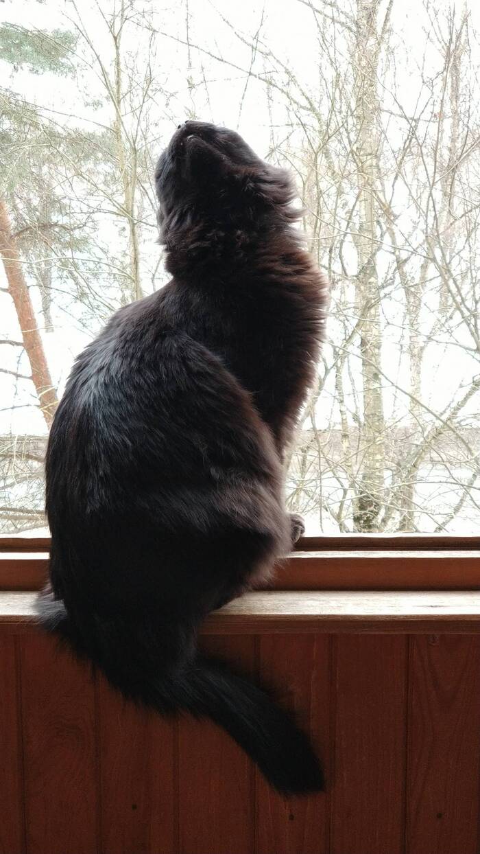 ��� ���?