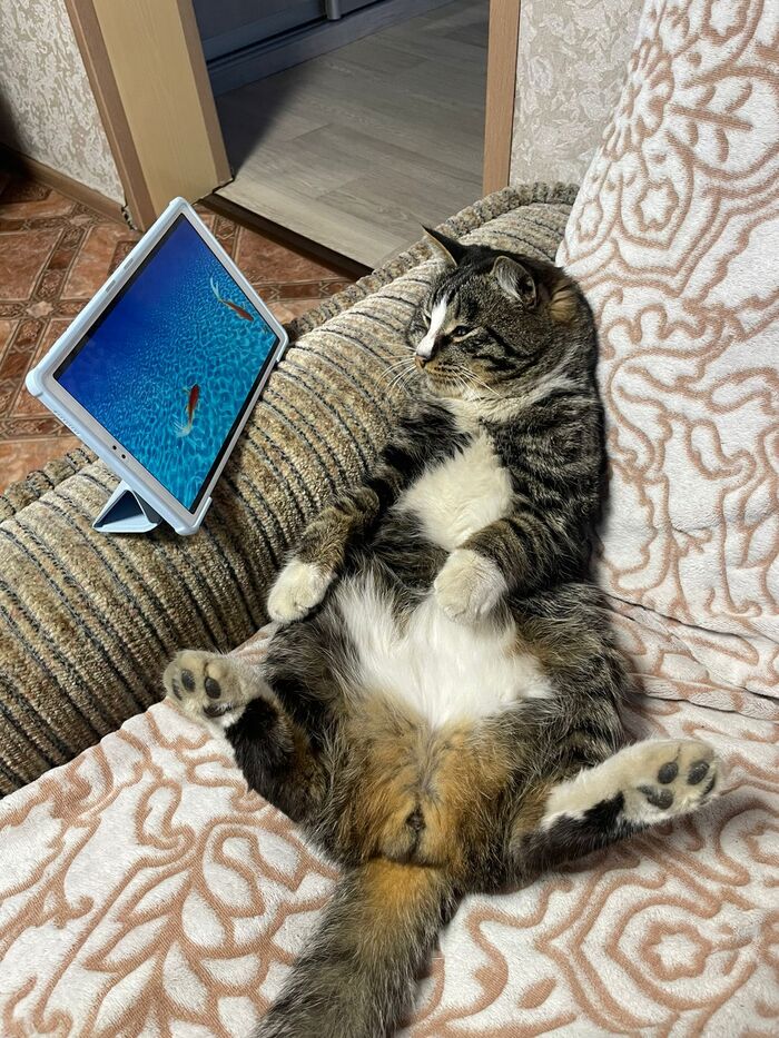 С наступающими выходными!