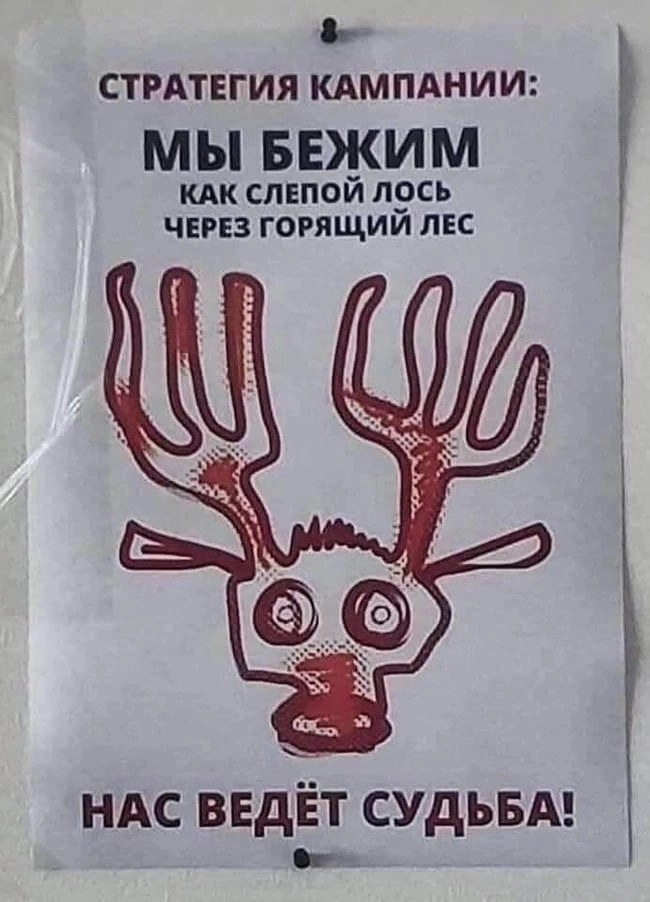 ������������� ��������