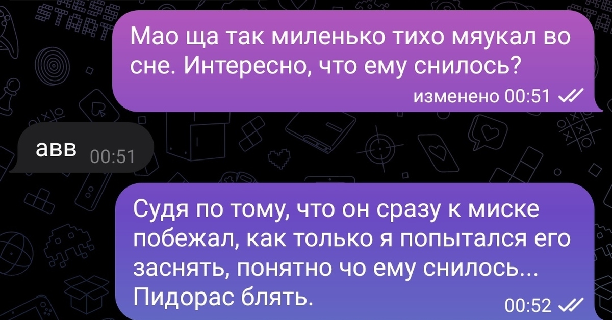 Что снится котам | Пикабу