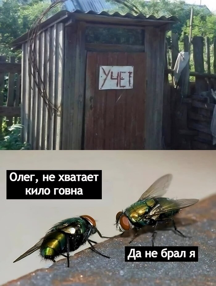 Инвентаризация