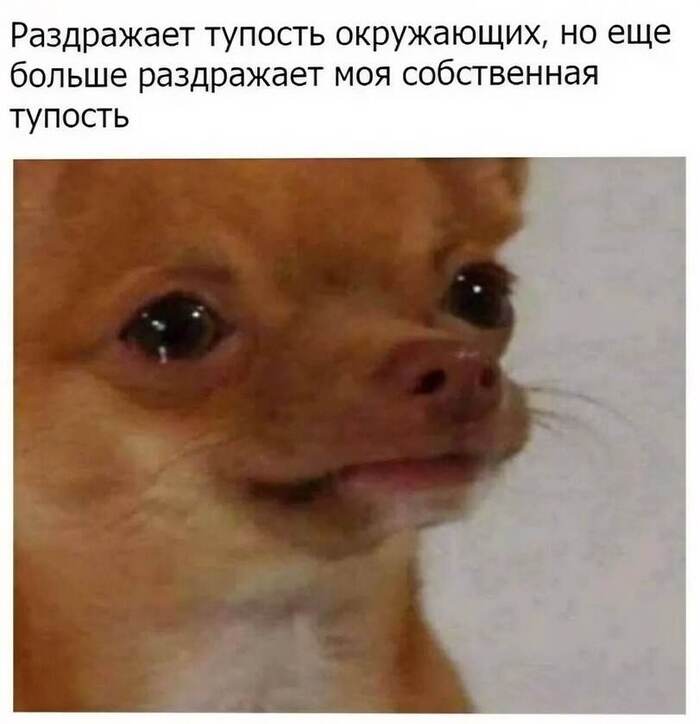 ������ ����������