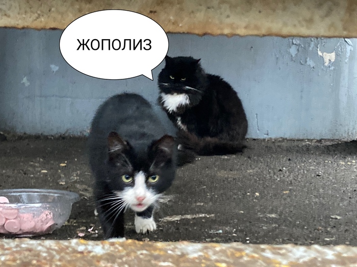 ������ �������� �������� ������