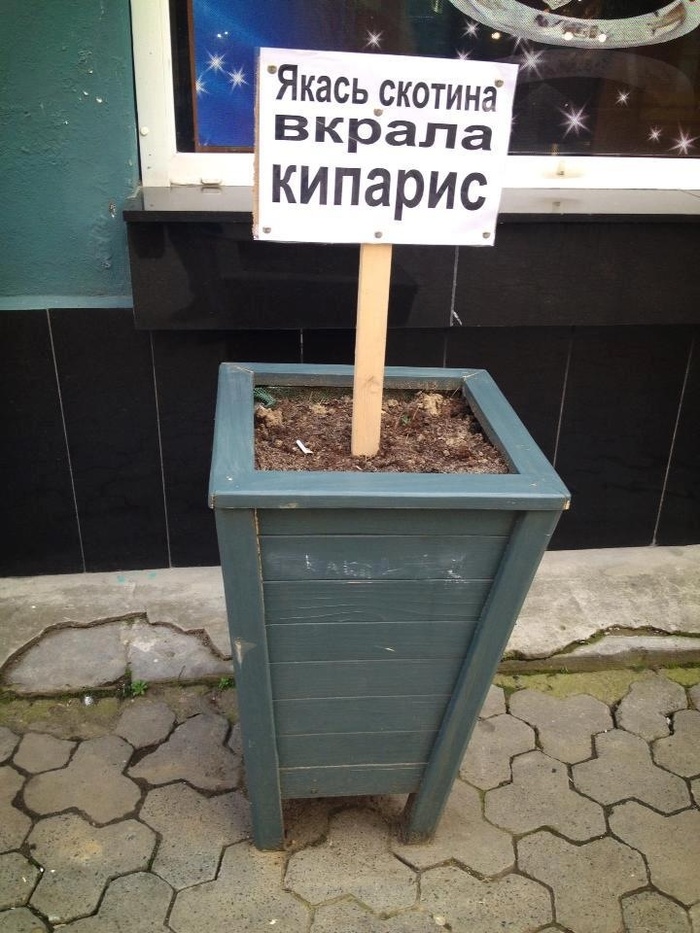     , , , , , , 