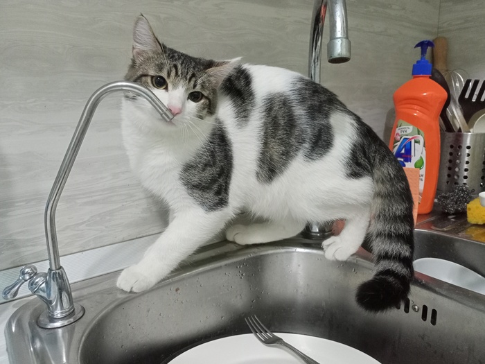 ,  ?  ,   !!!!!!