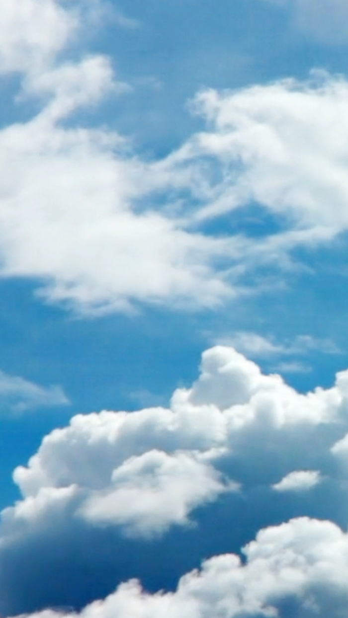 Стихи мои... Пройдёт зима...