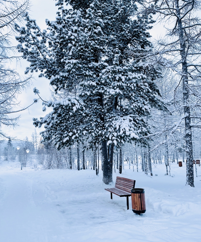 ������� ���� �� �����