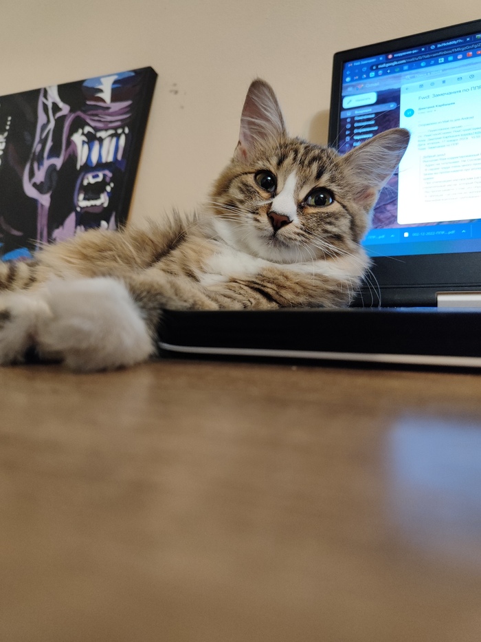 � ����� ����������!