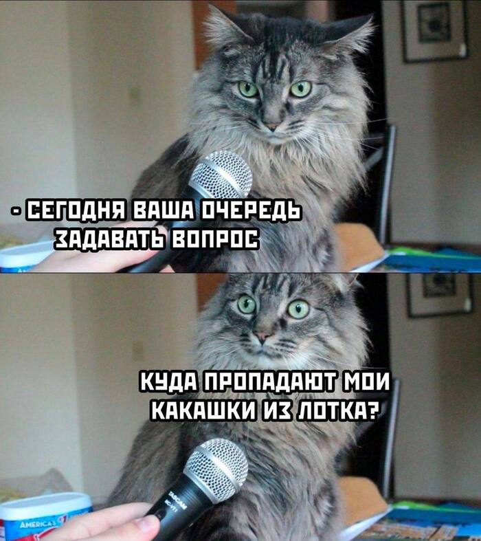 22     -      .      ?