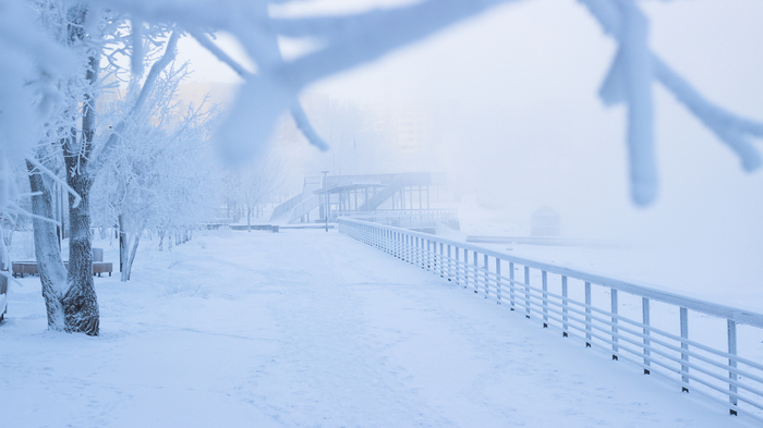 ����������. -38 �����