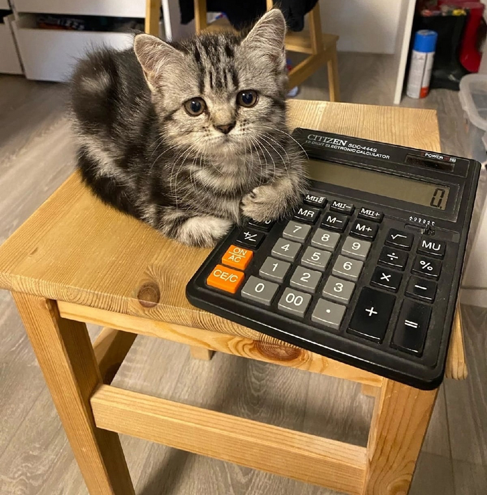    , , 