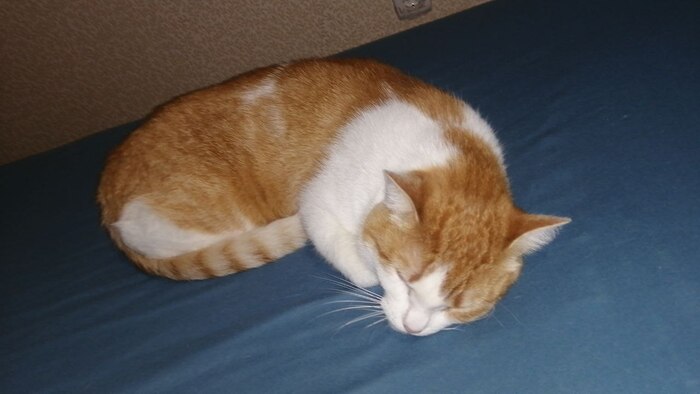 ��� ����� ������ � �����