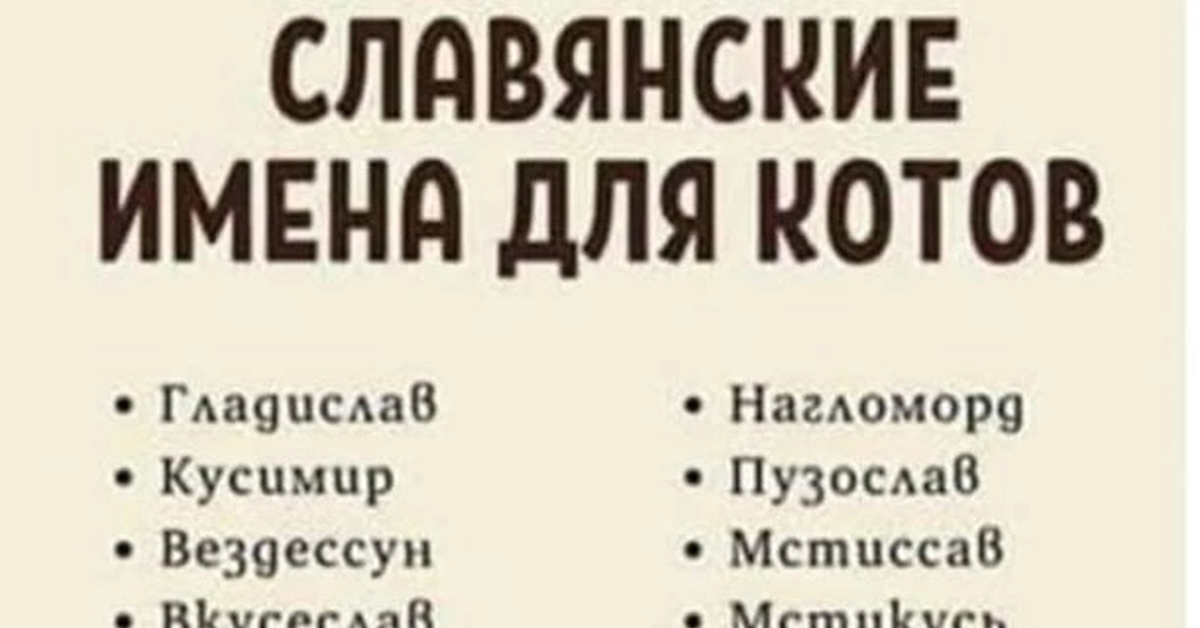 Ответ на пост «Славянские имена для котов» | Пикабу