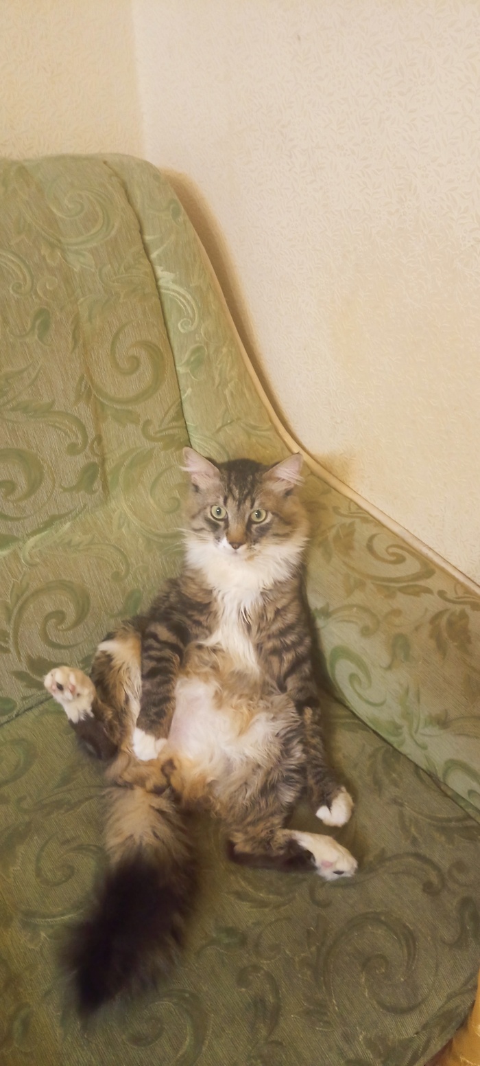 ,  , , , 