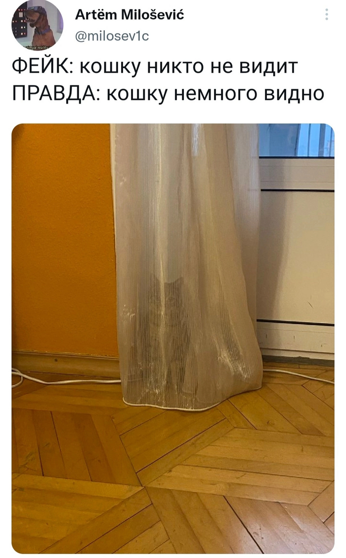 Разоблачение